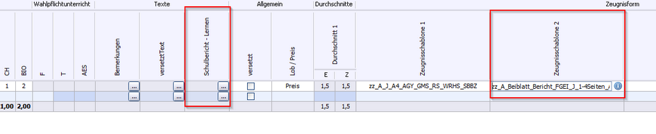 10_beiblatt_fgei_schablone_zoom81