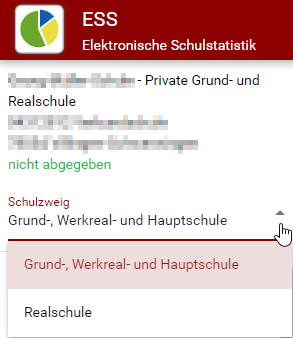 Schulzweigauswahl in der ESS