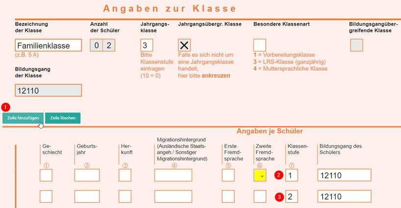 ESS-online, Angaben zur Klasse machen